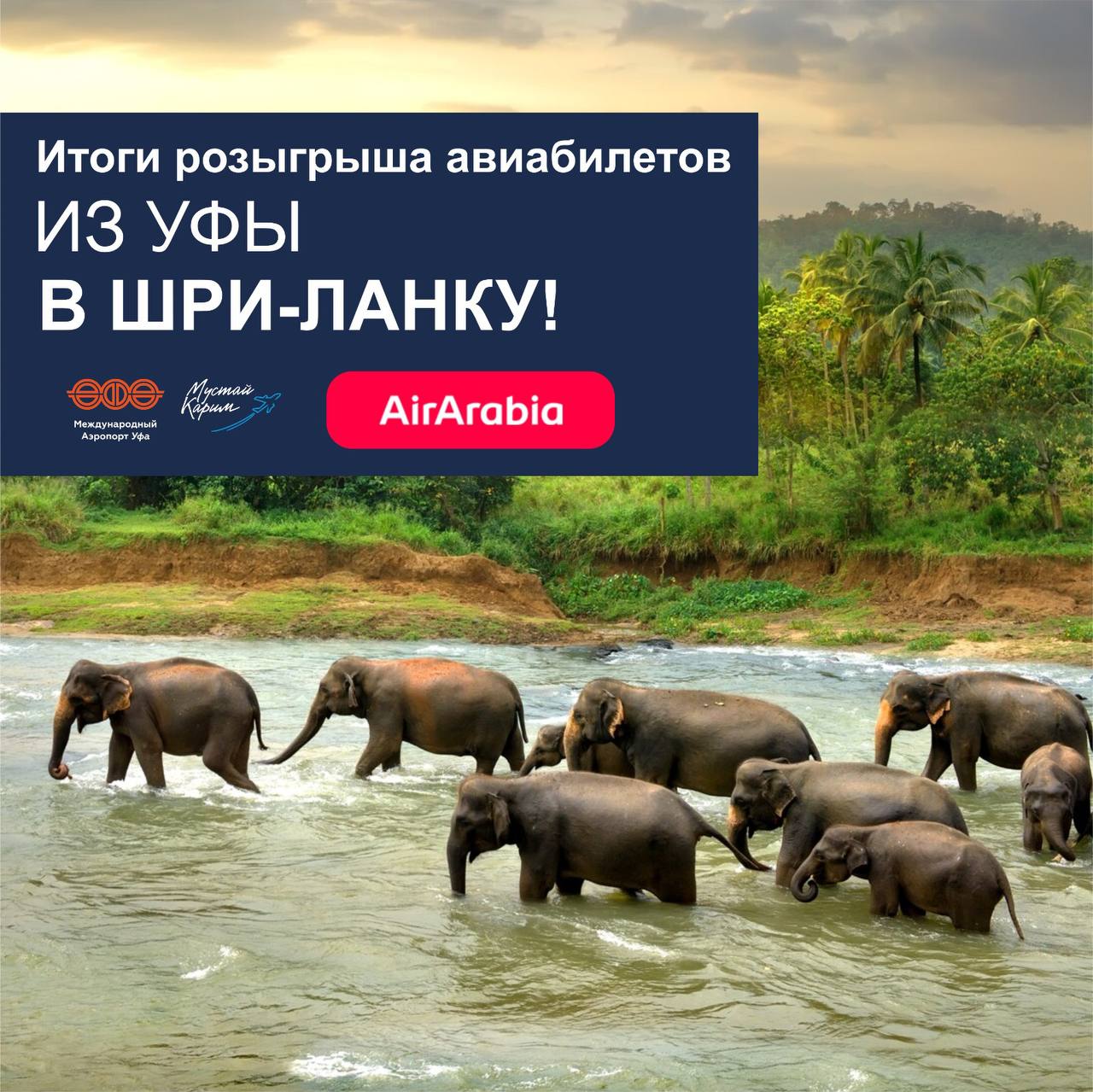 9d1c401c-60b8-4b2b-a940-4de691297dbe.jpg 9d1c401c-60b8-4b2b-a940-4de691297dbe.jpg